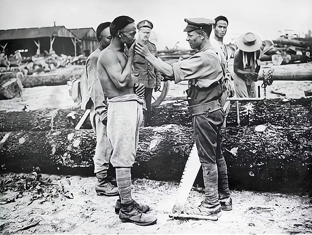 他们来自14万中国劳工,死后墓碑选择朝向东方|法国_历史|华工|欧洲