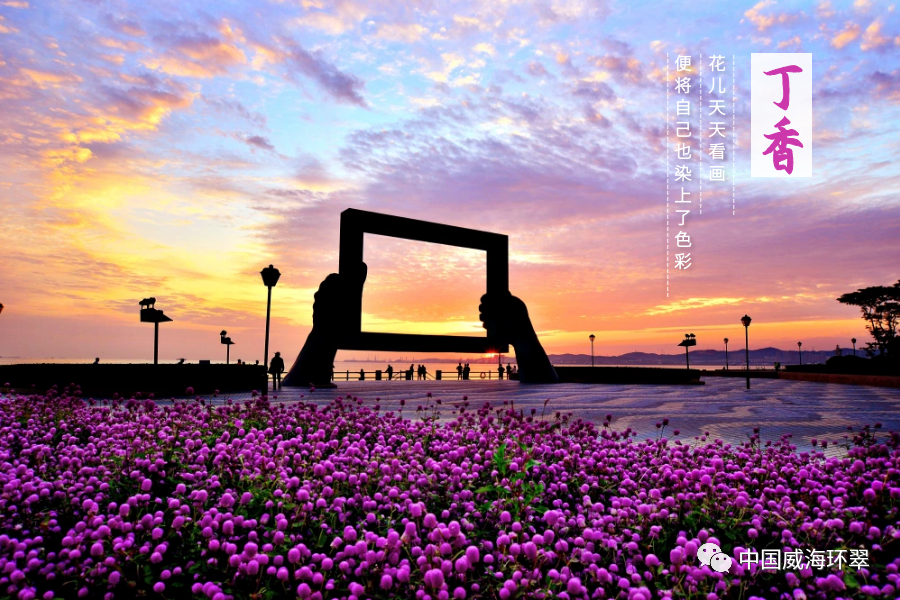 《画中画》曹书华 摄△《桃花盛开》孙鹏 摄转给更多人欣赏吧~来源