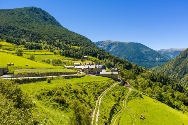 懒洋洋的袖珍国机场不建国王借别人的太安全警察无所事事