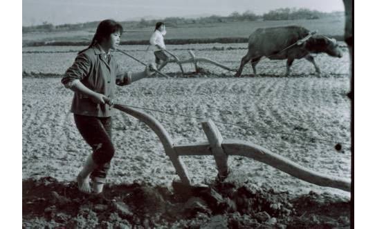 一看就是在城里长大的女知青女知青在养珍珠,表情看上去好认真.