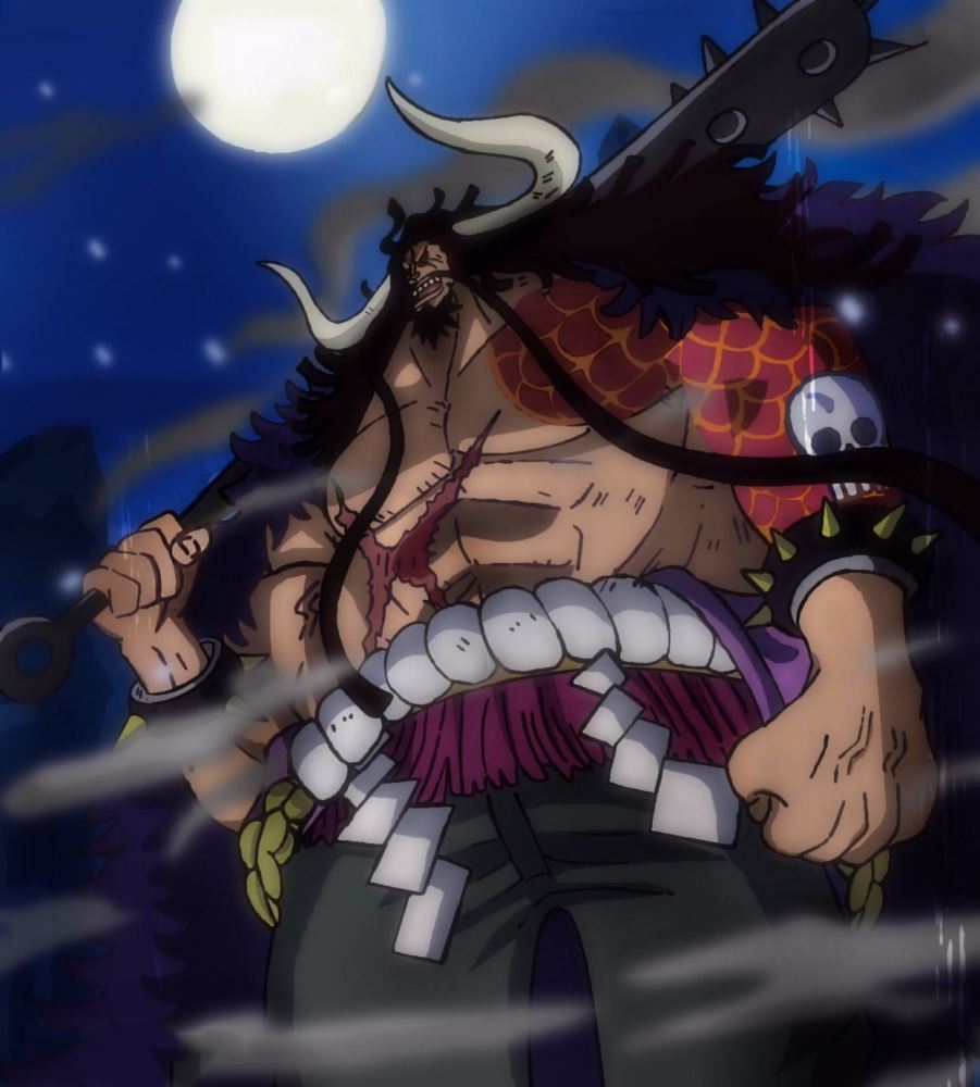 因为凯多是官方承认的海陆空最强生物,而如果凯多是鱼鱼果实的话自然