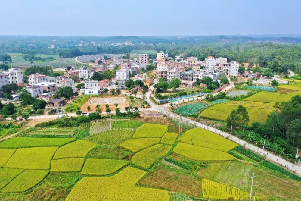 第二届"广东十大美丽乡村"吴川黄坡镇稳村榜上有名_腾讯新闻