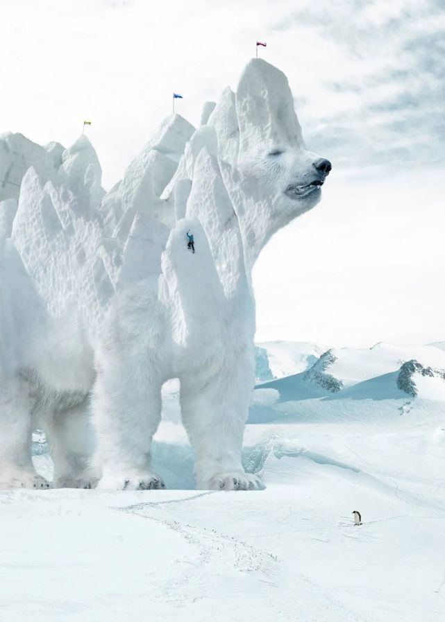 大师级的ps高手,将风景和动物融合到一起,作品震撼无比