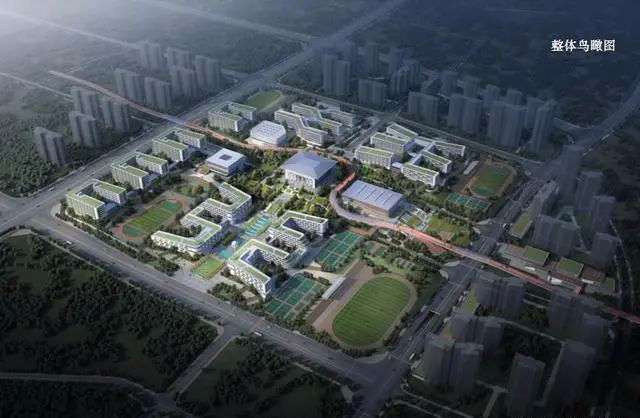 定了宜宾南岸要修一中新校区位置就在
