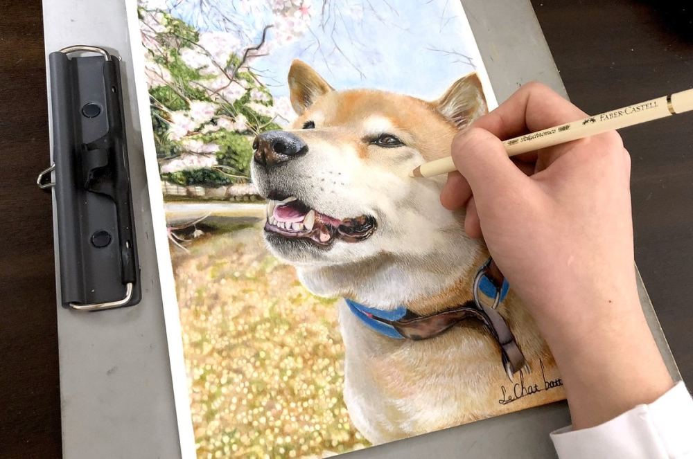 17岁少年彩色铅笔画动物每一幅都生动画里有灵魂