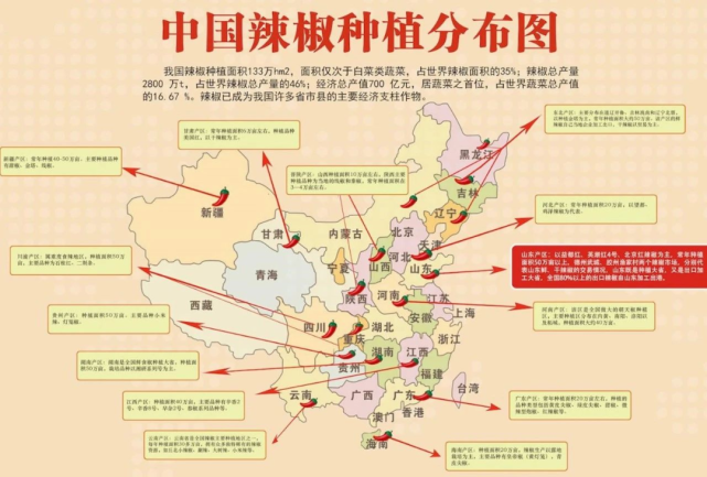 速看中国最火爆辣椒品种大汇总