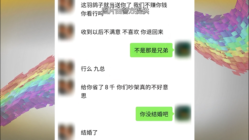 观赏鸽排行_这个问题让很多鸽友十分头疼,稍有不慎就取消成绩