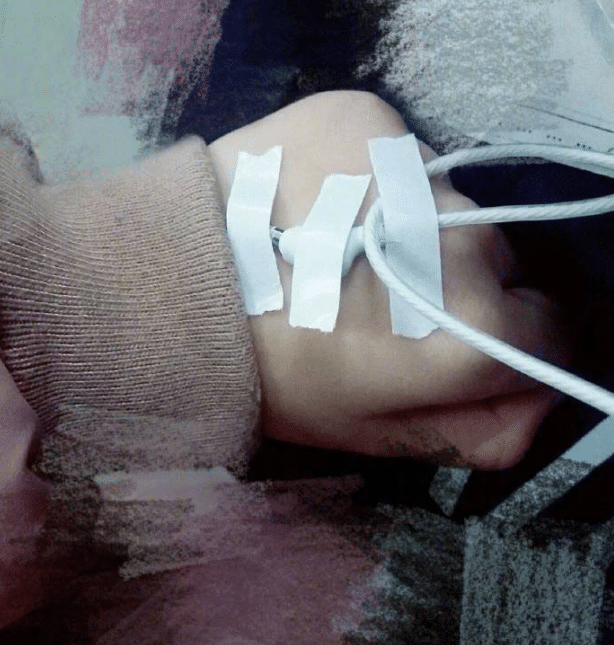 "猫咪:主人在拍我必须使劲笑,等会就有小鱼干!"哈哈哈