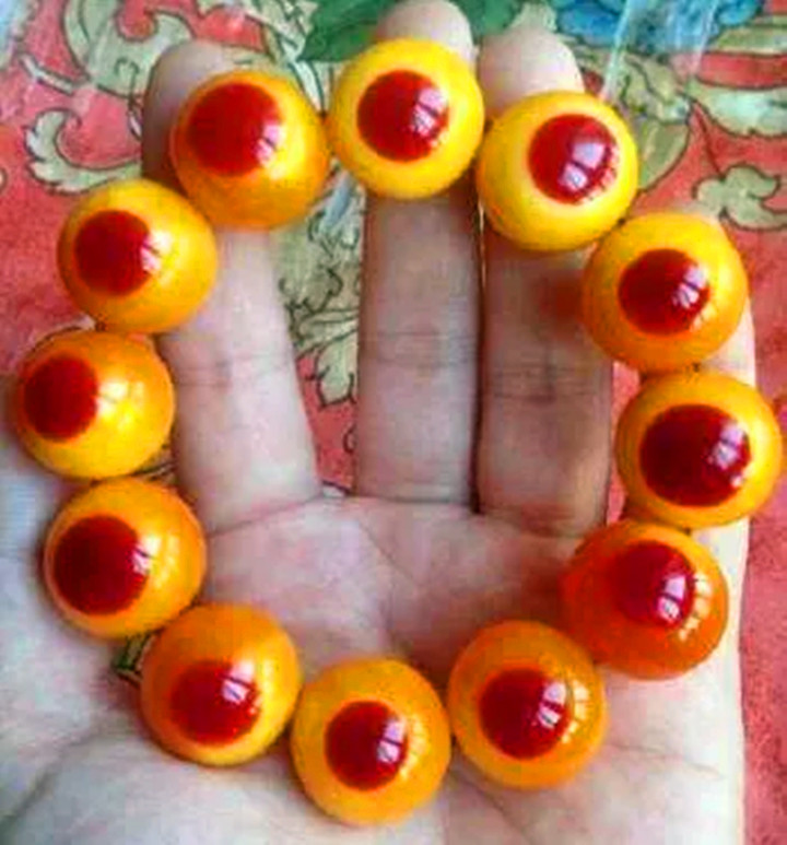 那些把玩的人们怎么会想到,如此精美的手串背后竟然是一条条盔犀鸟的