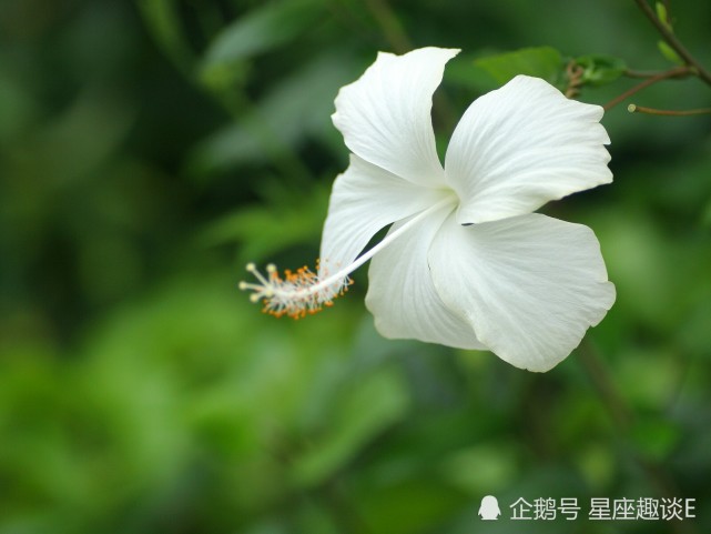 12月22日星座运势 巨蟹脚踏实地 天蝎循序渐进 射手明确目标 天蝎座 星座运势 巨蟹座 射手座