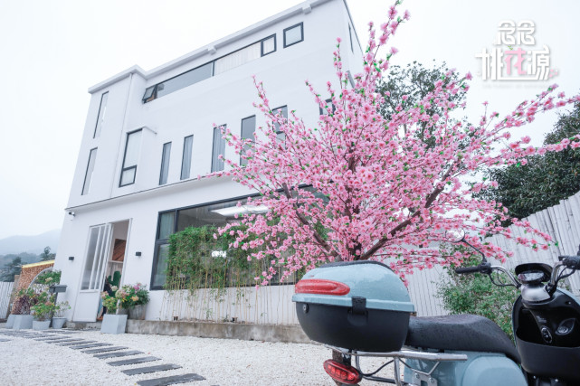 《念念桃花源》官宣,阮经天张天爱周奇开启都市"桃花源"生活