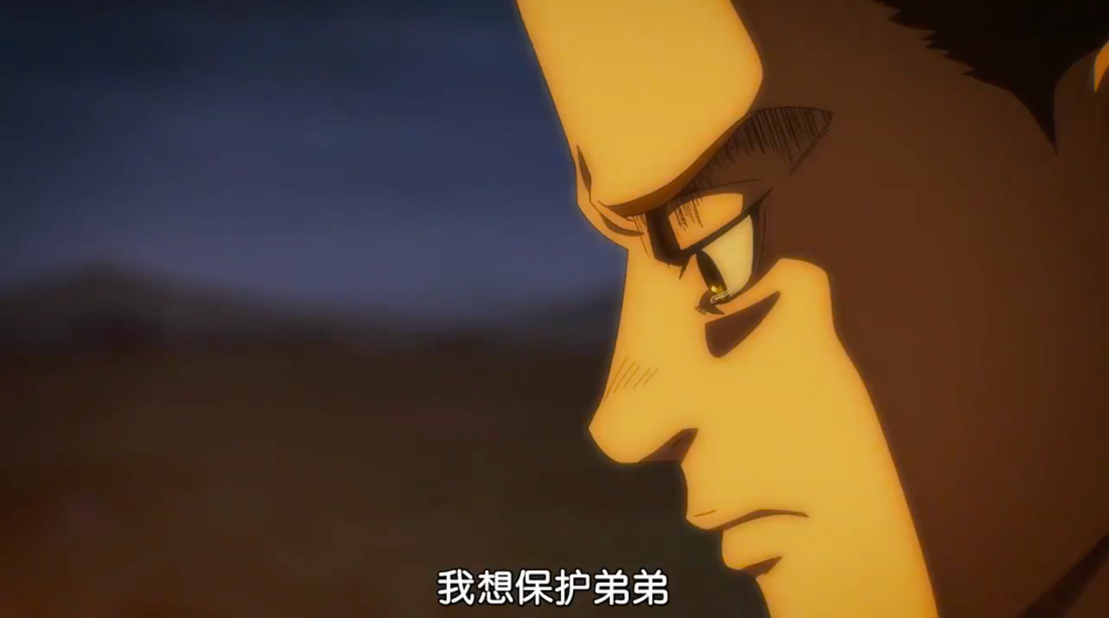 这一切都是波尔克的哥哥,所做!