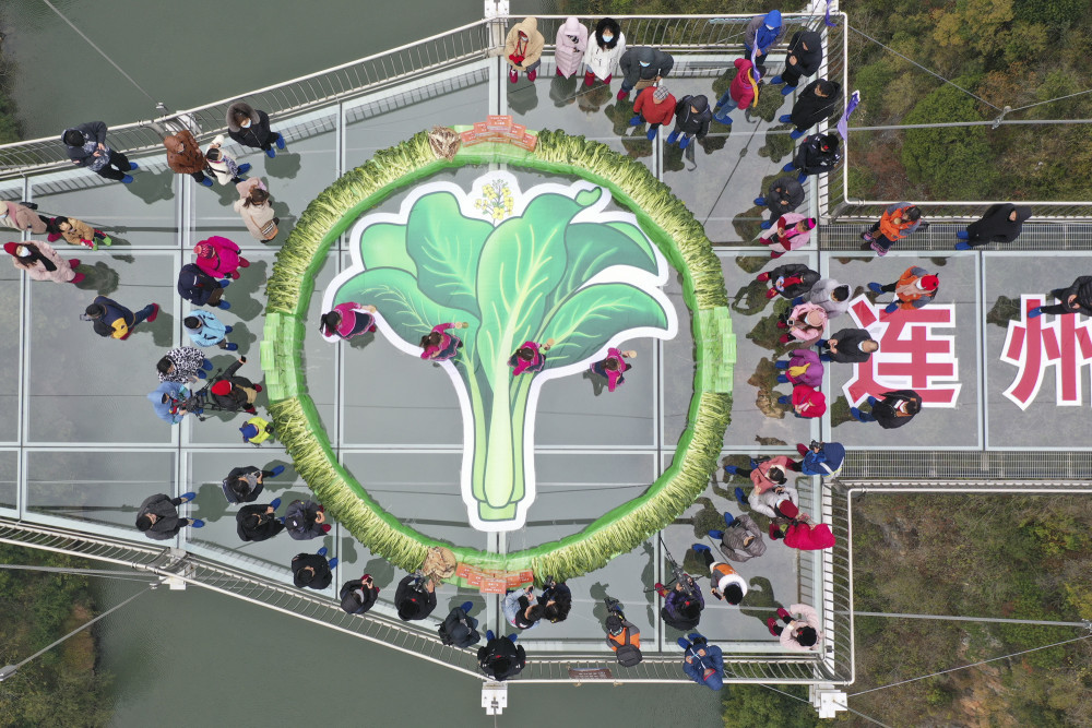 2020年连州菜心嘉年华活动开幕