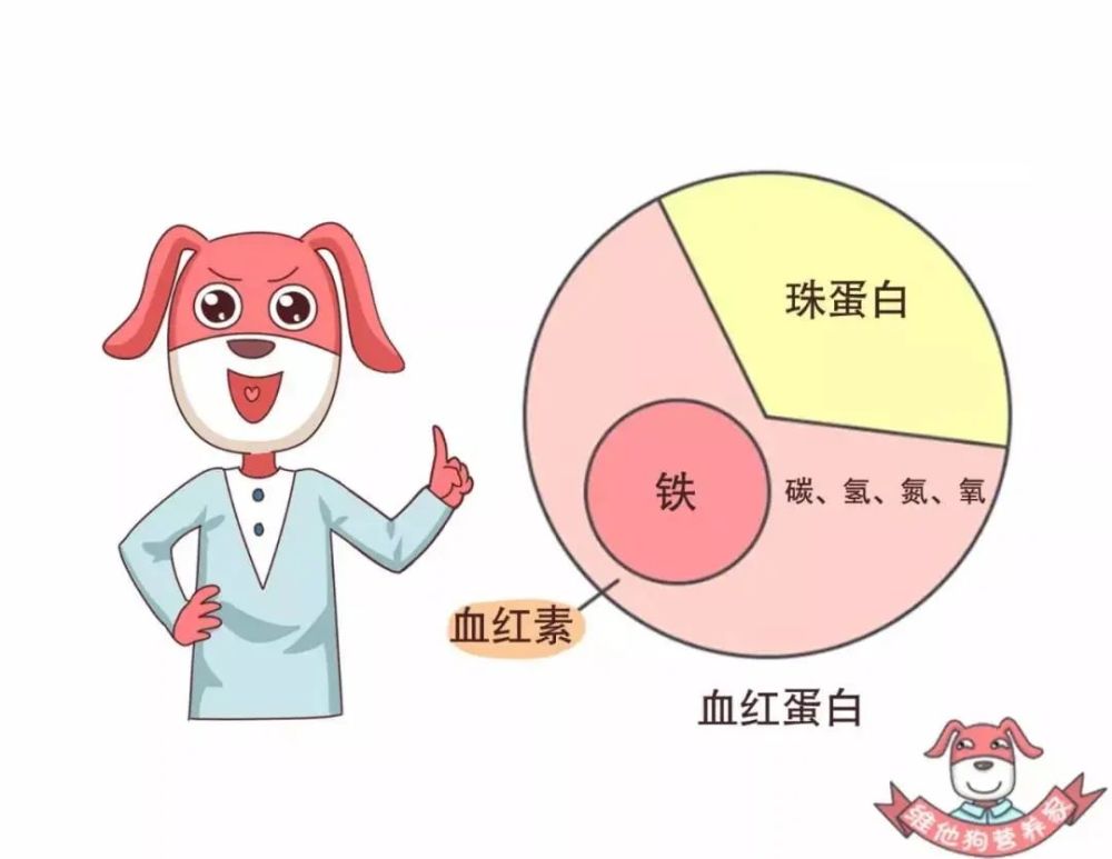 是因为缺铁.铁是构成血红蛋白的核心元素.