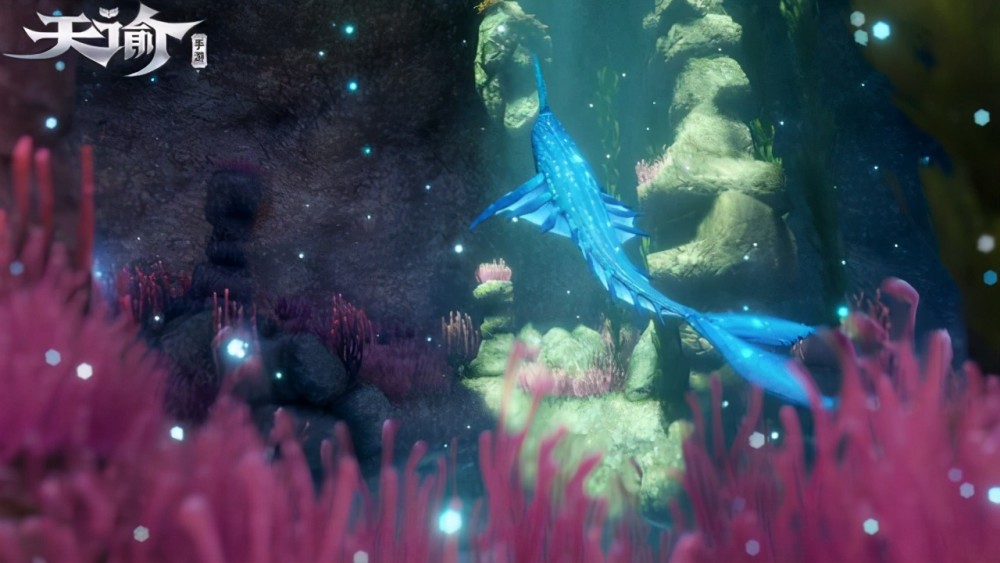 天谕手游玩家集体变海王鱼塘大到来者不拒网易年末又要搞事