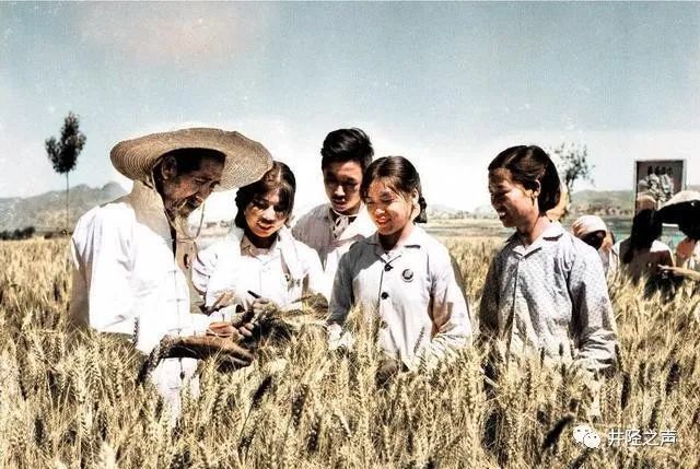 井陉老照片:60-70年代的石家庄井陉矿区,农业学大寨影像_腾讯新闻