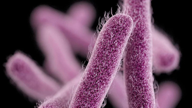 印度一地志贺氏菌疫情已有人身亡,卫生官员呼吁:水烧开喝