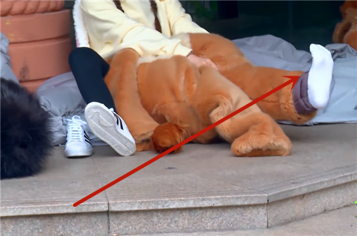 杨超越无奈脱鞋看到她的袜子颜色网友万万没想到