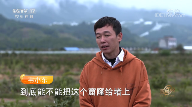 致富经视频2016全集(致富经视频2019全集视频)