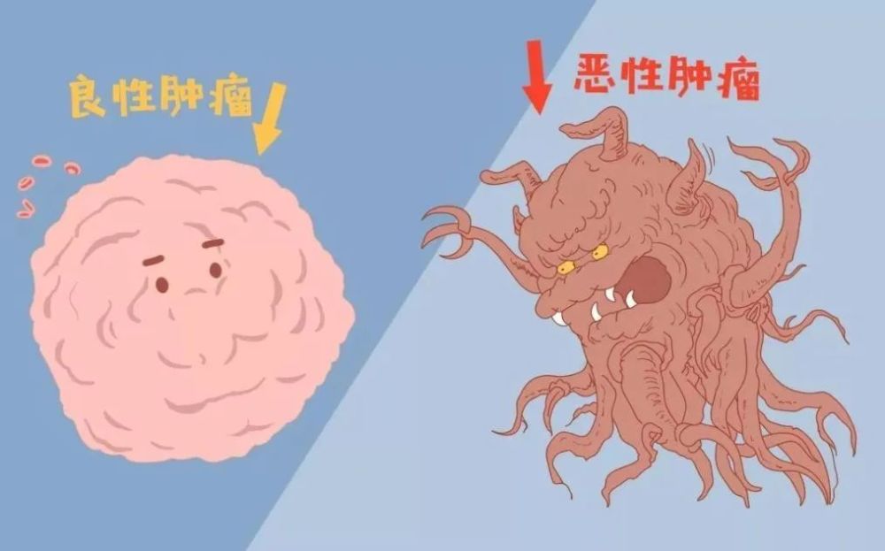 这些鉴别常识,你必须了解_腾讯新闻