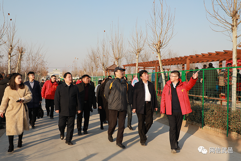 武邑县网站优化建设 腾讯网