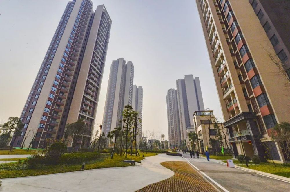 成华住建交冬至时分喜悦相伴丛树家园安置小区分房啦