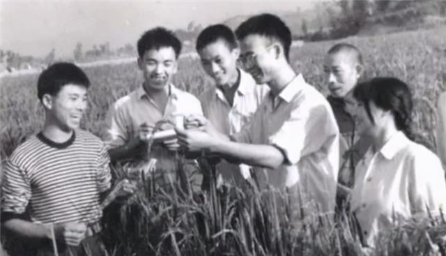 温铁军:为什么当年中国一定要"上山下乡"?_腾讯新闻