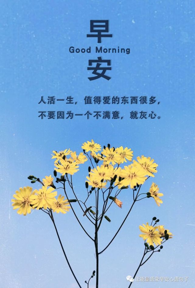 1月5日早安心语微信早安问候语图片早安正能量语录励志句子