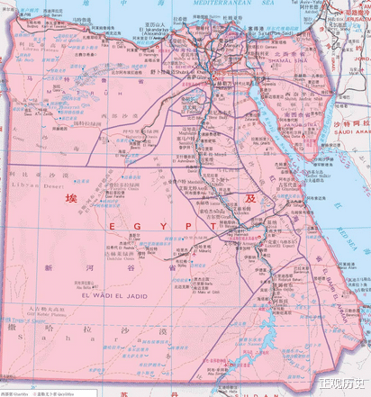 在对待中东的问题上,萨达特坚持推行"不结盟政策",反对霸权主义,努力