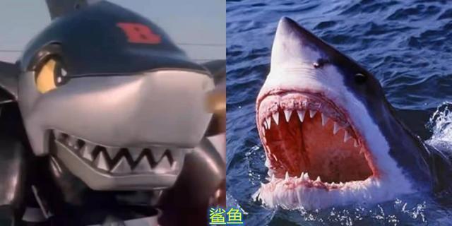 鲨鱼辣椒剧照图片