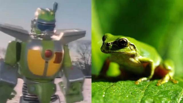 动画片机器人青蛙小宝图片