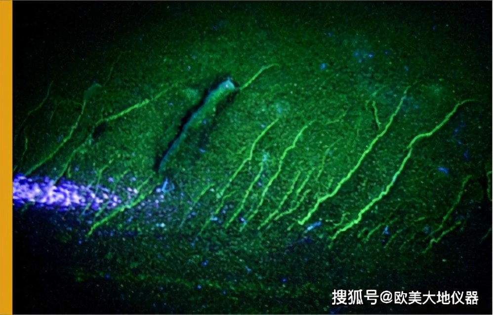 照亮損傷,熒光液滲透探傷方法_騰訊新聞