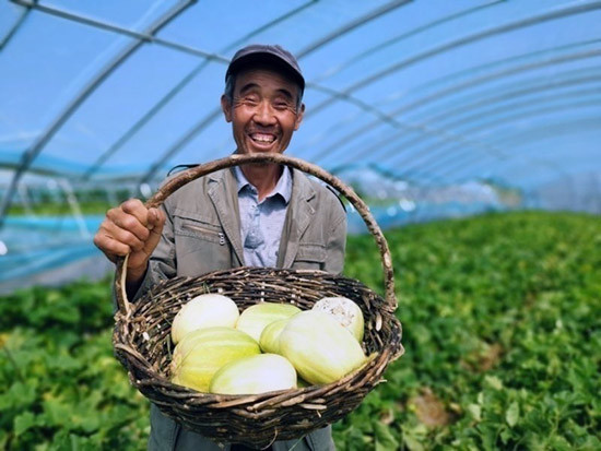 内蒙古扎赉特旗好力保镇五家子村:绰尔河畔水稻丰 奏响脱贫致富曲