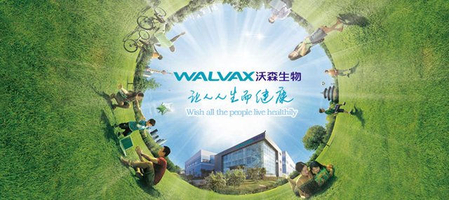 沃森生物贱卖门余波未了牵出高买低卖隐秘往事