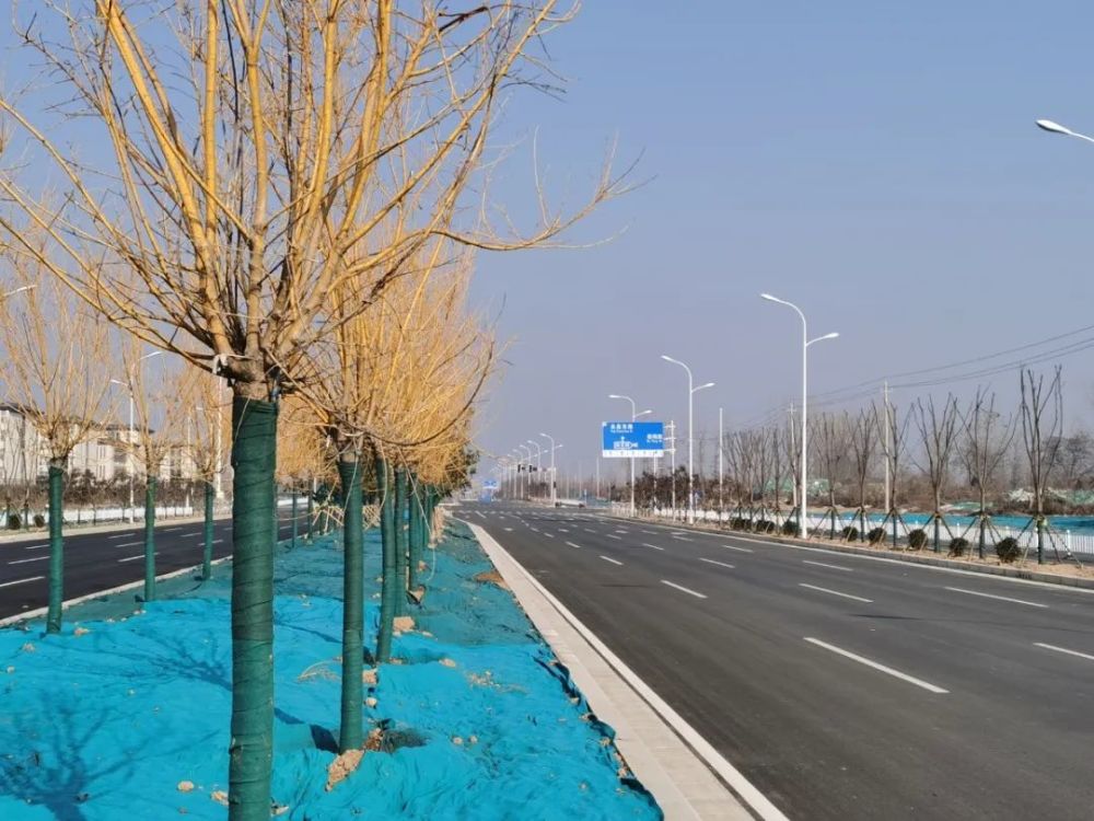 忠武路设计为双向10车道, 限速为60公里/时. 来源:许昌报业传媒集团
