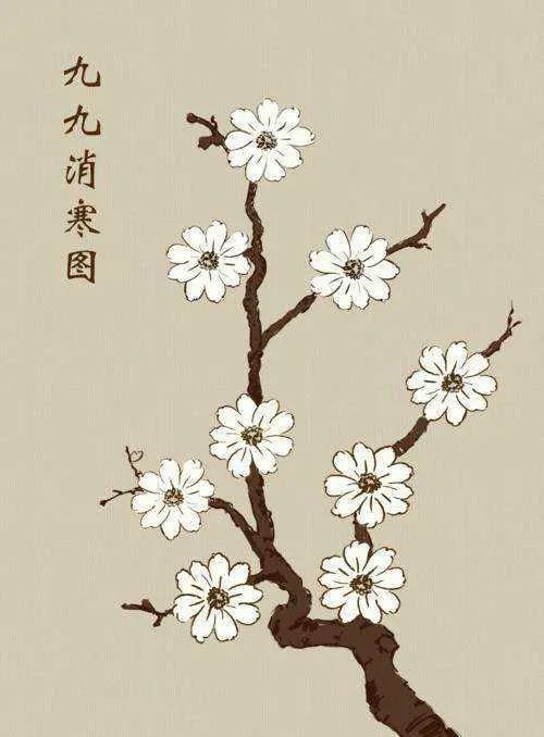 养生宝典 有趣的 数九 习俗 腾讯新闻