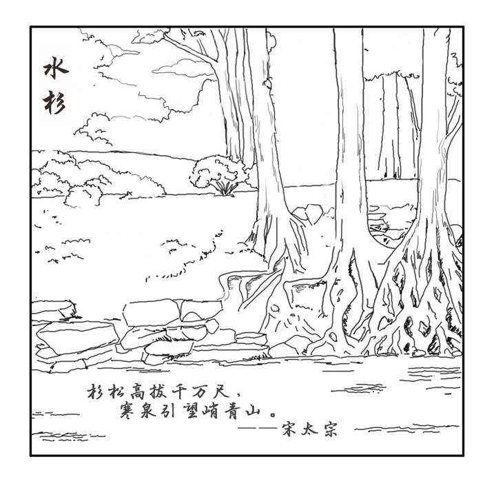 从九溪烟树至杨梅岭村,1.