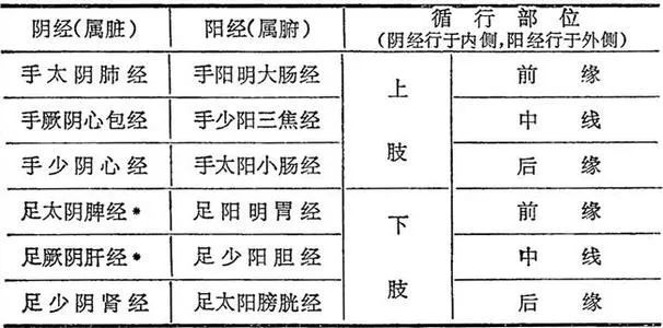 三,十二經脈分類及流注次序3,連屬部分十二經脈對內連屬臟腑,對外連於