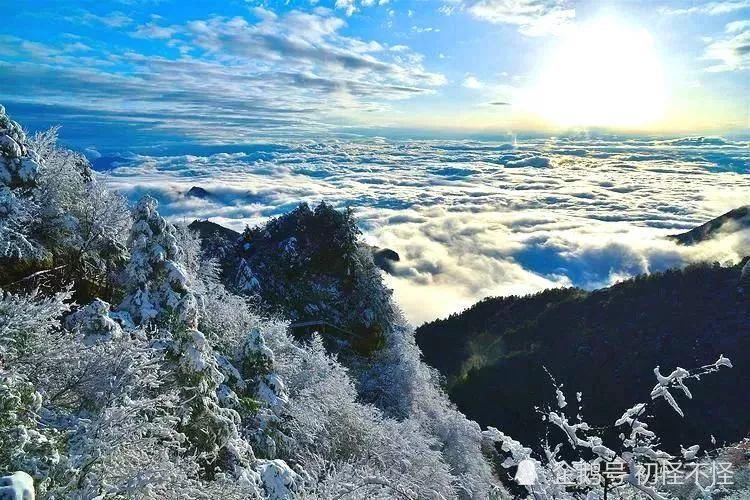 巴山大峡谷红豆杉栈道图片