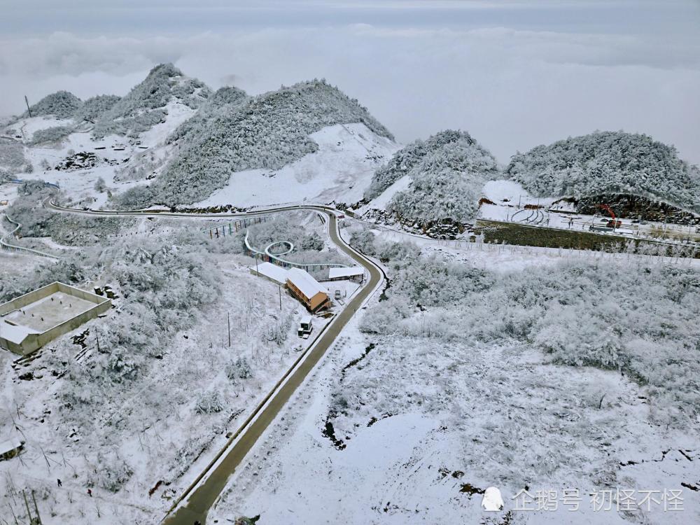 巴山大峡谷红豆杉栈道图片