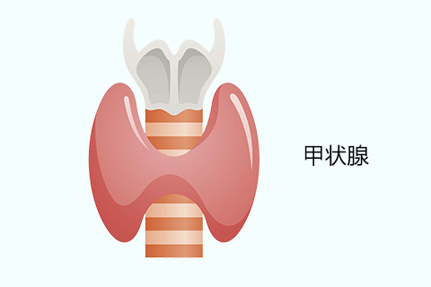 這6類人更容易得甲狀腺結節