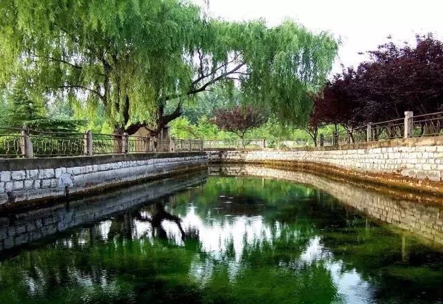 冬游齐鲁 畅游泗水