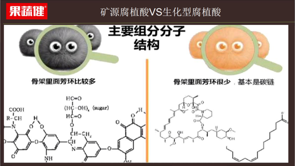 黄腐酸分子结构图片