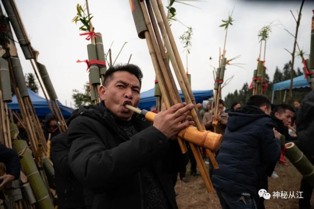 悠悠蘆笙醉人心,齊秀盛裝迎新年,從江苗族同胞歡度蘆笙節_騰訊新聞