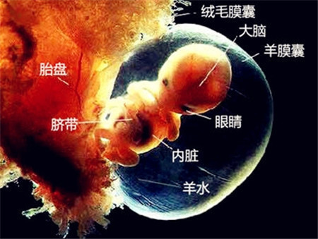 羊水少的孕妈妈要小心究其原因这其中的危害必须要了解