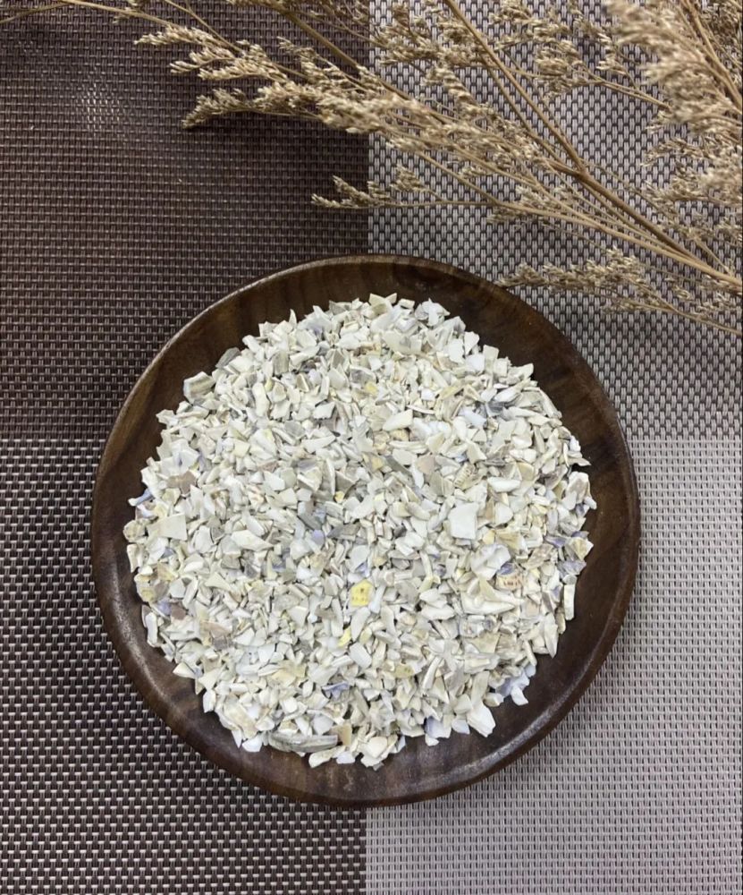 亲民的"水产"中药——海蛤与蛤壳_腾讯新闻