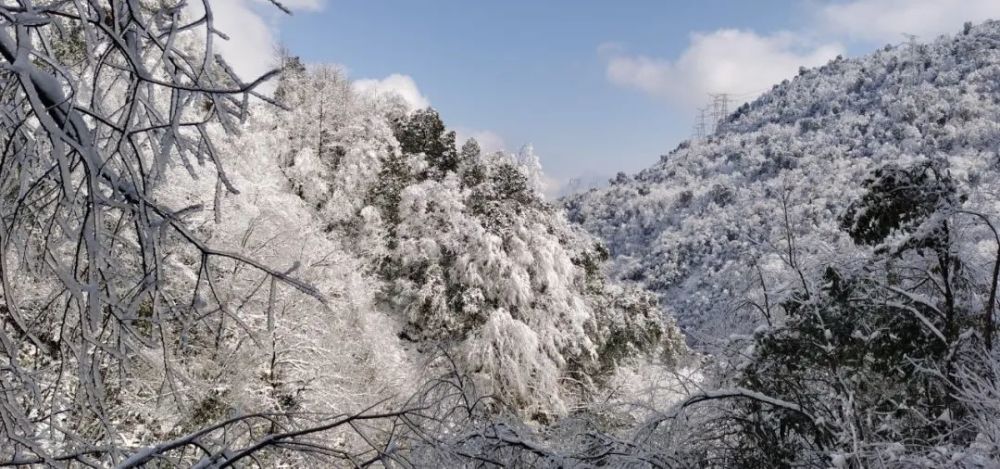 冬已至,山已白,这个冬天来看看天全的雪景吧!