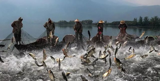 西昌海河垂钓须知
