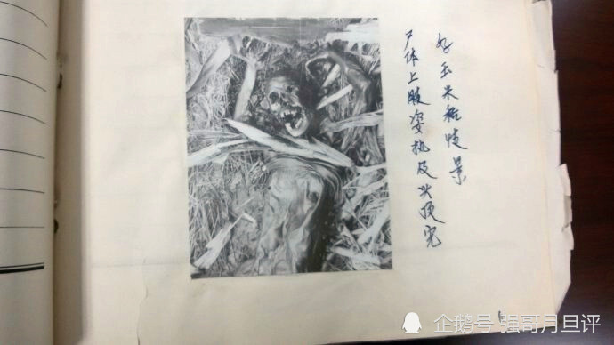 王书金死有余辜遗憾的是未能找出康菊花聂树斌案的真凶