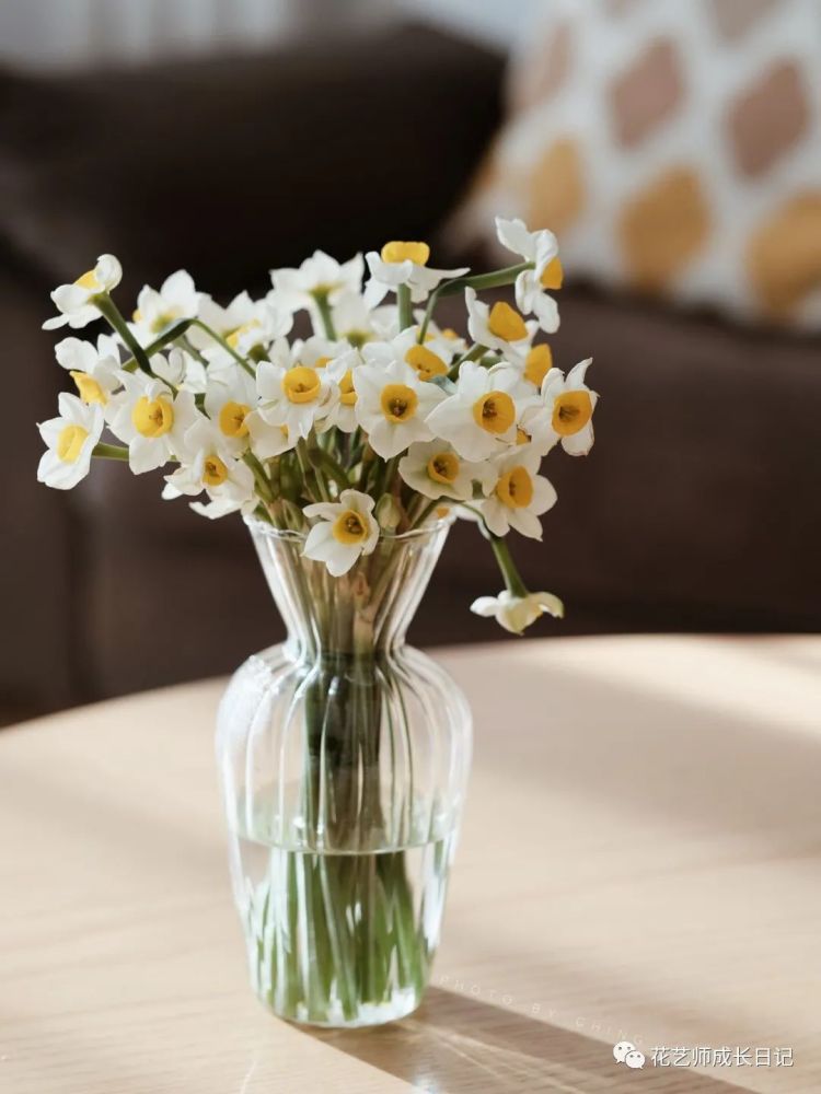 每日一花 冬日暖色调 水仙切花带来的惊喜 腾讯新闻